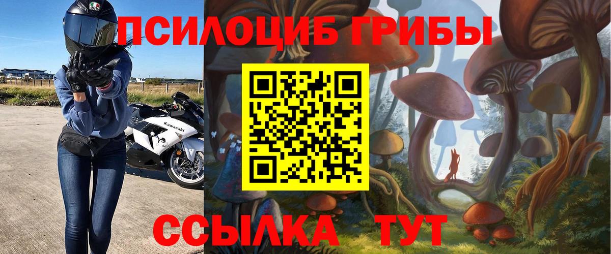 Псилоцибиновые грибы MAGIC MUSHROOMS  где можно купить наркотик  Галлюциногенные грибы прущие грибы  Аргун  Вход с VPN 