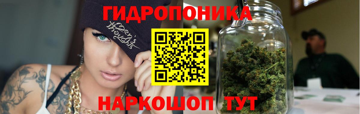Аргун  Бошки Шишки OG Kush  Вход с VPN  Марихуана VHQ 